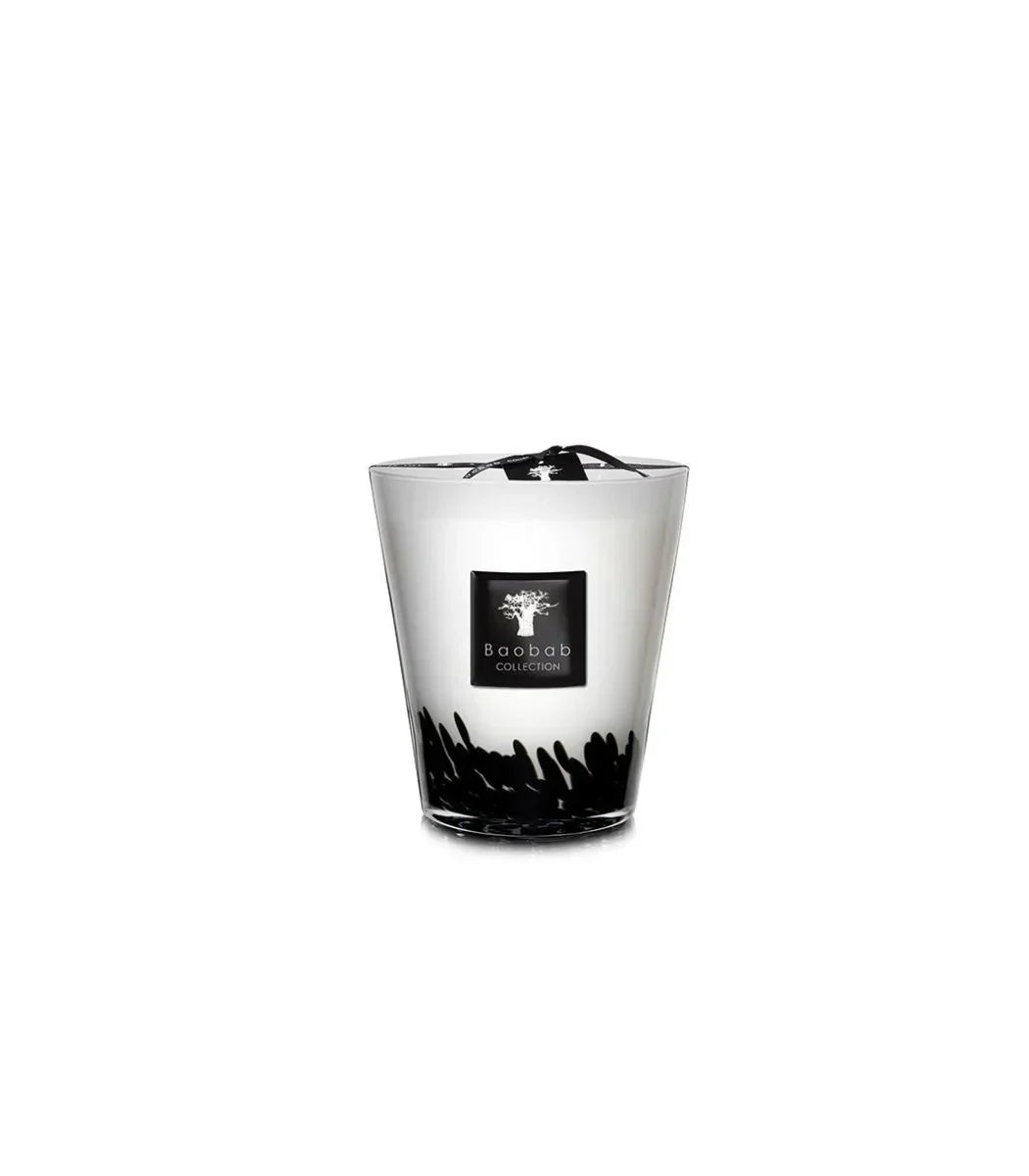 Baobab Collection - Candle Feathers - Max 16