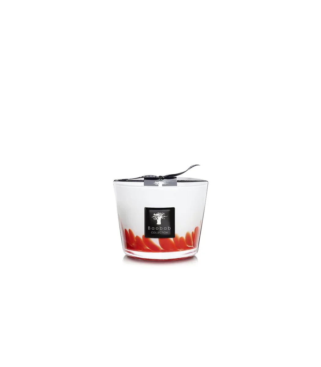 Baobab Collection - Candle Feathers Maasai - Max 10